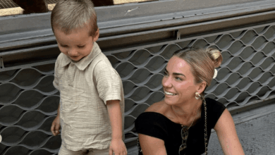 Update on the Situation – Hollywood Life